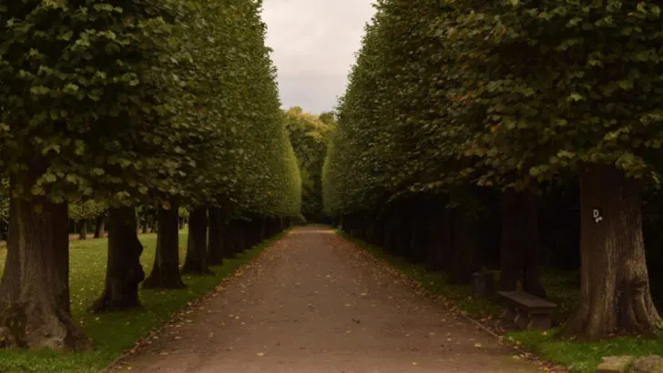 Verschieberitis. Kennst du das?