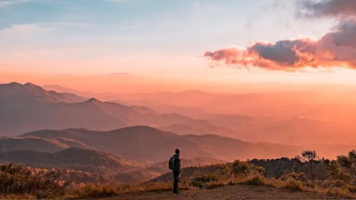 Wem ich die Schuld gebe, dem gebe ich die Macht