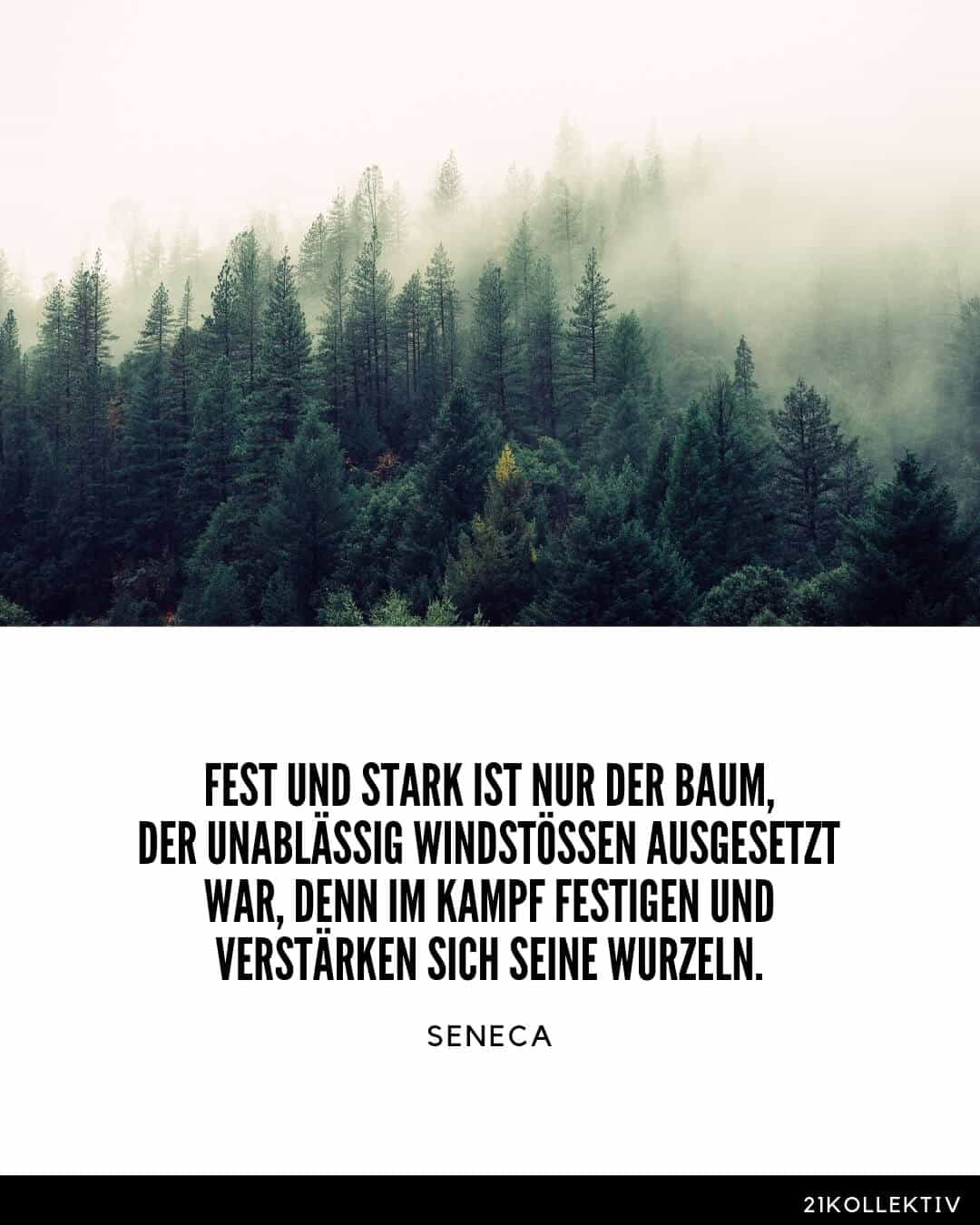 Fest und stark ist nur der Baum, der unablässig Windstössen ausgesetzt war, denn im Kampf festigen und verstärken sich seine Wurzeln. Seneca Lebensweisheiten