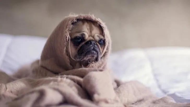 So wirst du zum Glückskind – Glücksblog