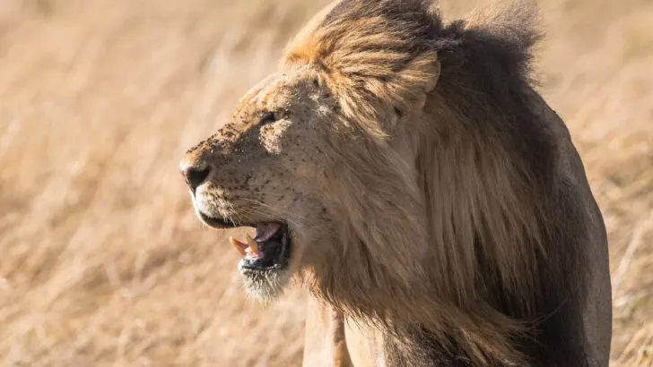 7 Tipps, um selbstbewusster zu werden