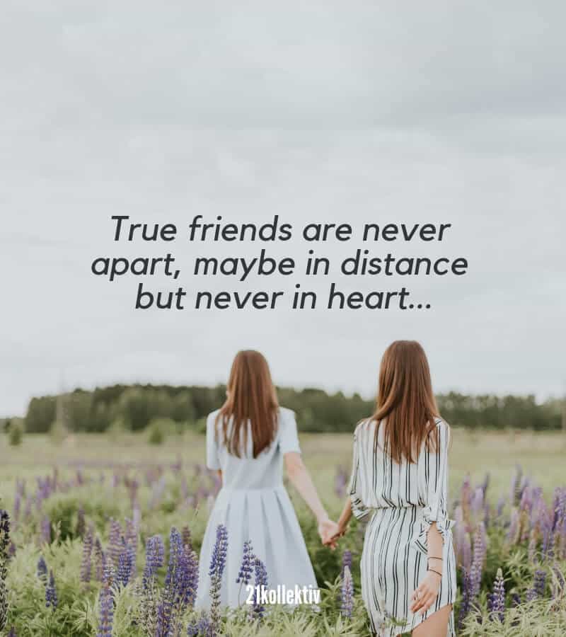 True friends are never apart, maybe in distance but never in heart. | Mehr englische Freundschaftssprüche findest du auf 21kollektiv.de