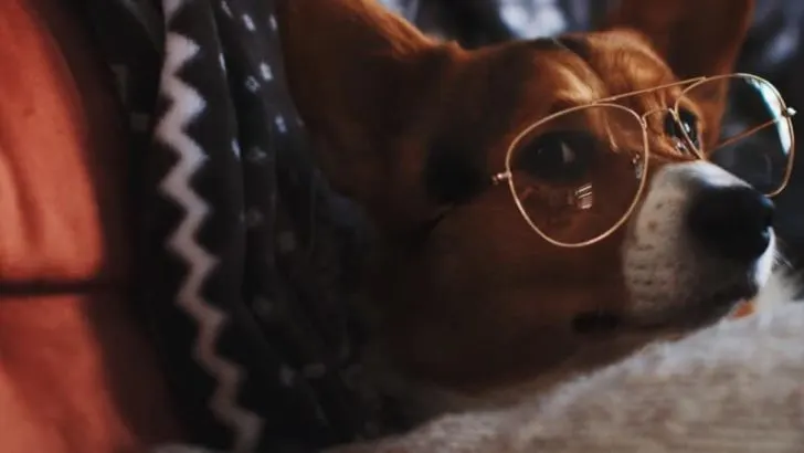 44 coole Sprüche, die dich zum Schmunzeln bringen werden