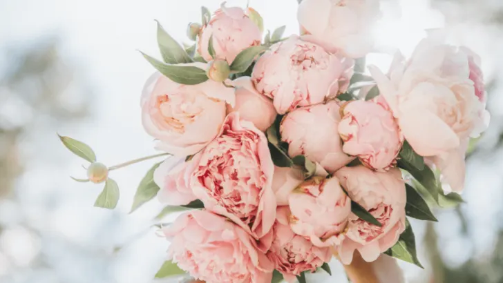 9 Blumen und ihre geheime Bedeutung