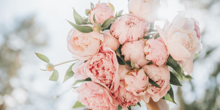 9 Blumen und ihre geheime Bedeutung