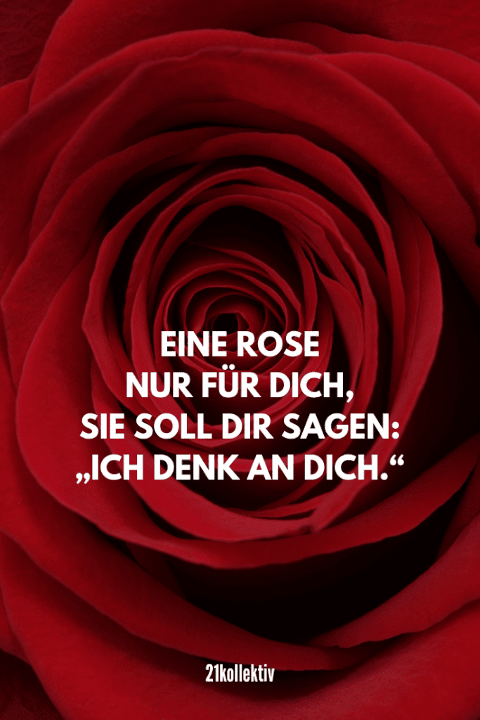 Eine Rose nur für dich, sie soll dir sagen: „Ich denk an dich.“ | Mehr unfassbar schöne Valentinstag Sprüche findest du auf unserem Blog #liebe #partnerschaft