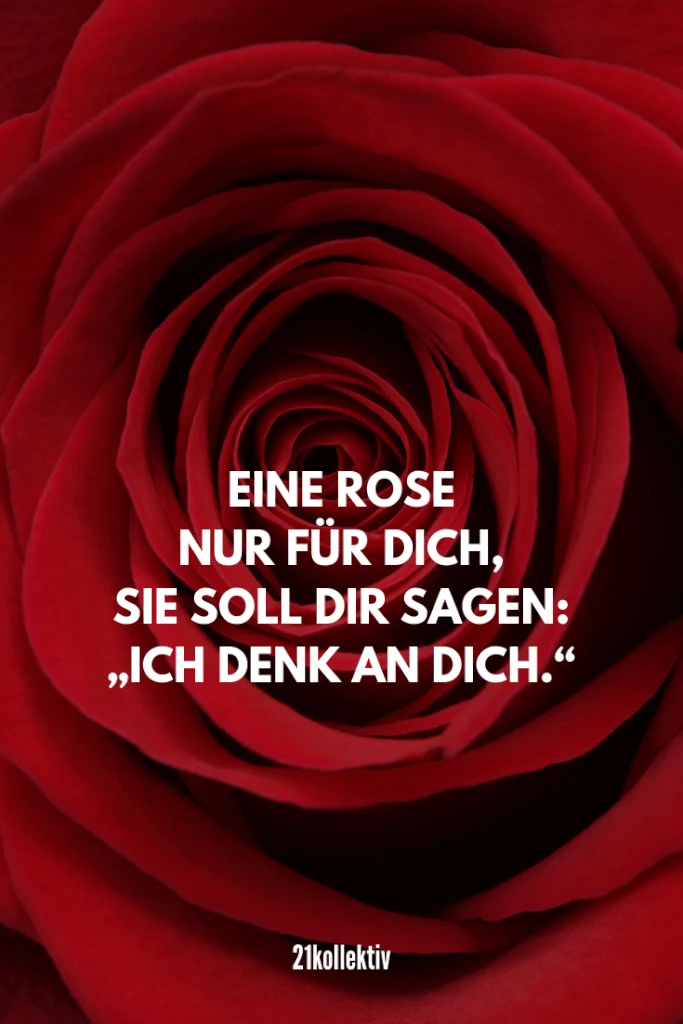 Eine Rose nur für dich, sie soll dir sagen: „Ich denk an dich.“ | Mehr unfassbar schöne Valentinstag Sprüche findest du auf unserem Blog #liebe #partnerschaft