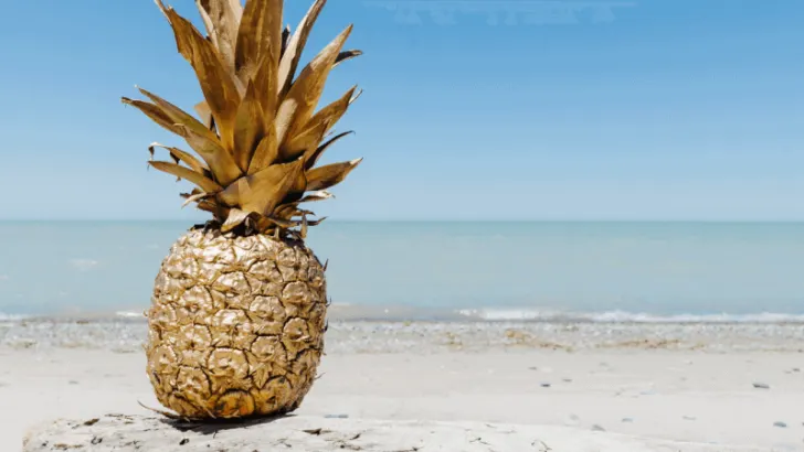 Die optimale Nervennahrung für stressige Zeiten & worauf du unbedingt achten solltest