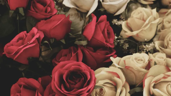 Machst du diese 5 Fehler am Valentinstag?