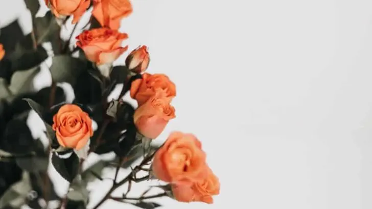 5 Tipps, um auch in negativen Situationen positiv zu bleiben