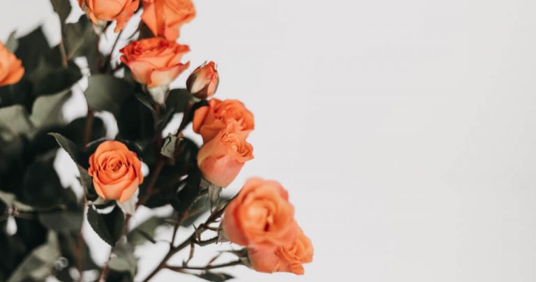 5 Tipps, um auch in negativen Situationen positiv zu bleiben