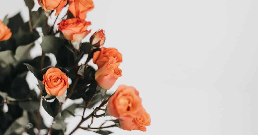 5 Tipps, um auch in negativen Situationen positiv zu bleiben
