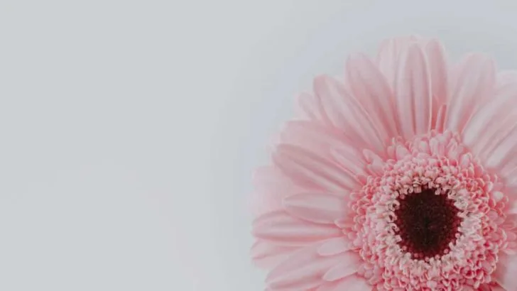 7 Gründe: Besser Single sein, als in einer kaputten Beziehung festzustecken