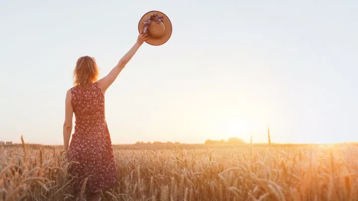 Spruch des Tages (9)