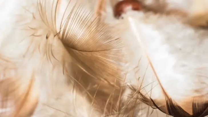 Glücks-Challenge: Werde in 7 Tagen glücklicher