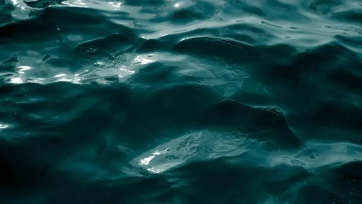 Was tun, falls dein Ex sich plötzlich wieder meldet