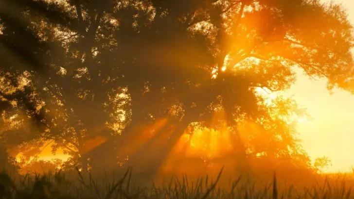 15 Tipps für einen besseren Start in den Tag