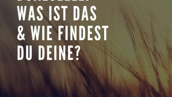 Dualseele: Was du über deine Zwillingsseele wissen solltest