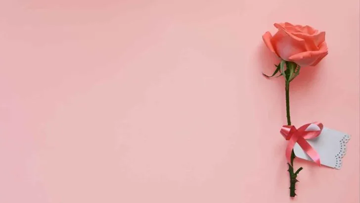 Eine Frage, die jede Single-Frau beantworten sollte