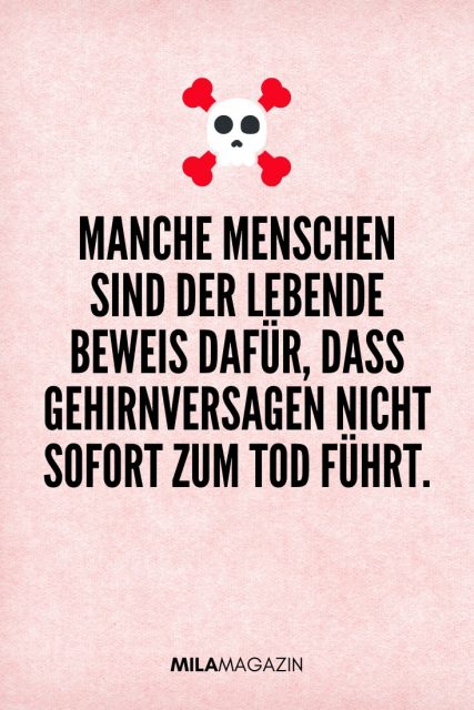 44 coole Sprüche, die dich zum Schmunzeln bringen werden 21kollektiv