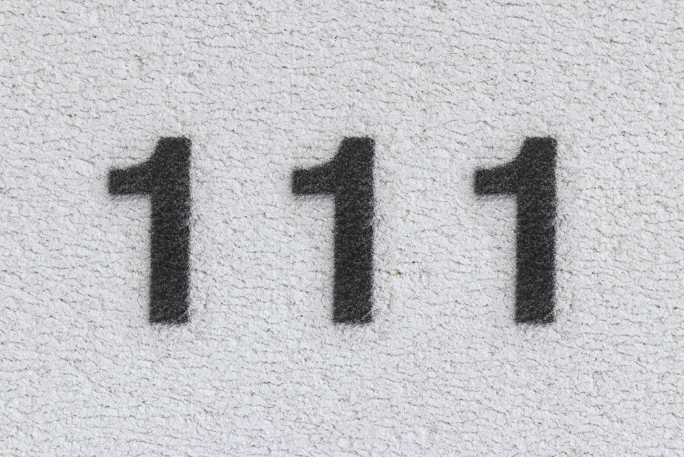 Eleven Plus Exams the Selective School Exam Preparation Experts