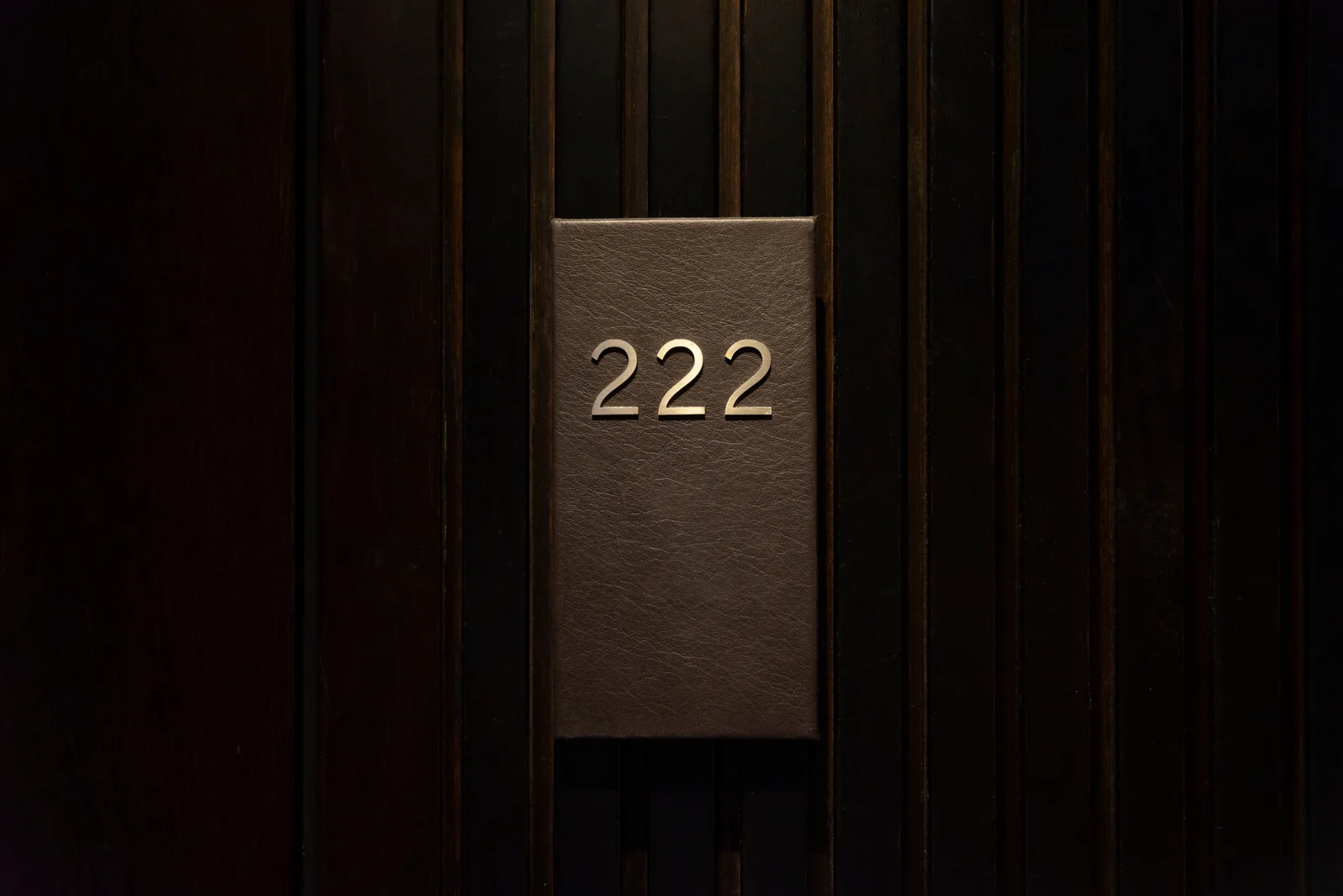 Nummer 222 auf einer Holztür