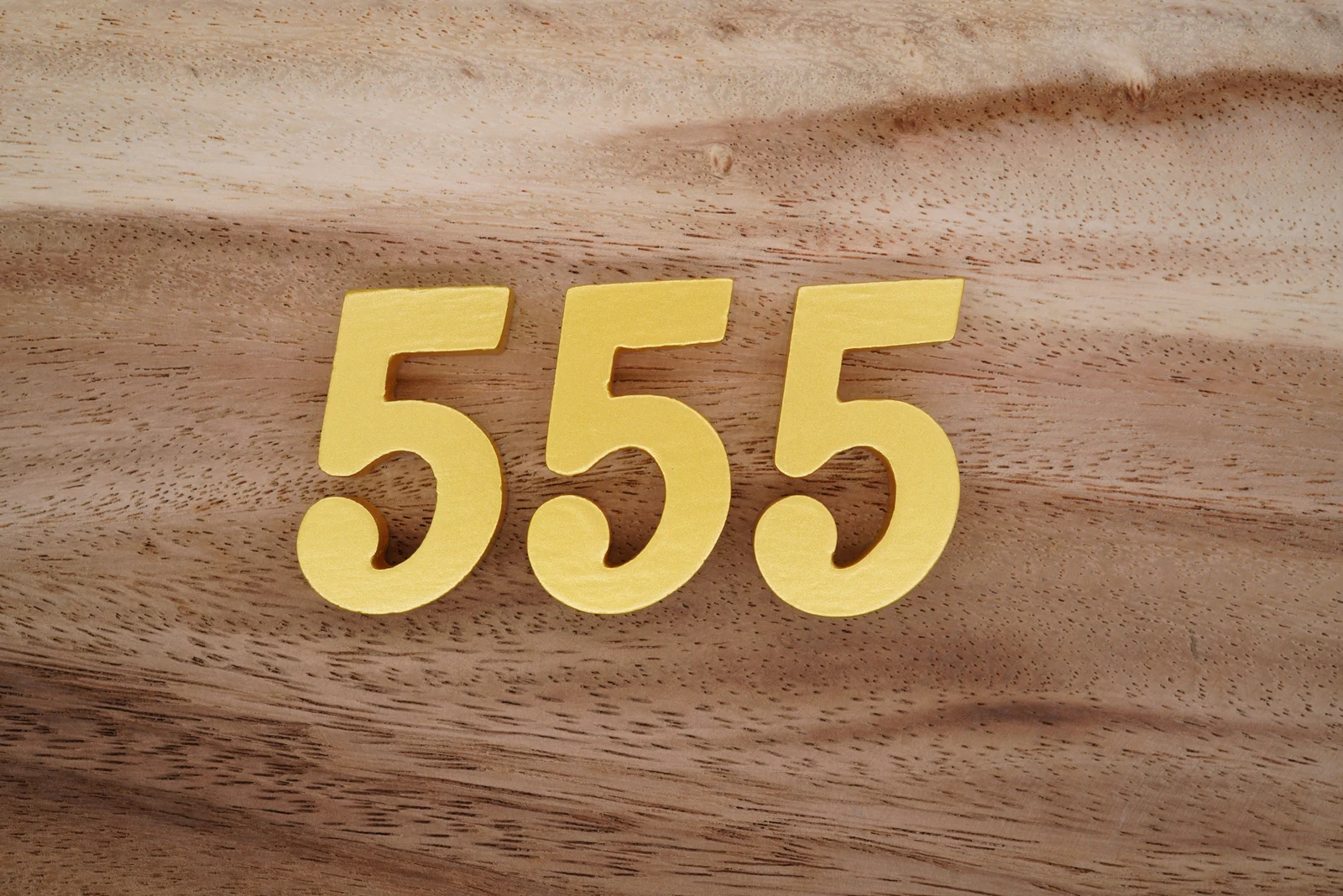 Nummer 555 auf einem Holzsockel
