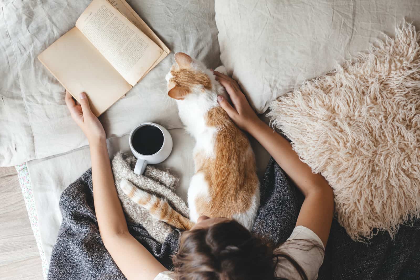 Frau, die ein Buch liest, neben ihr schläft eine Katze