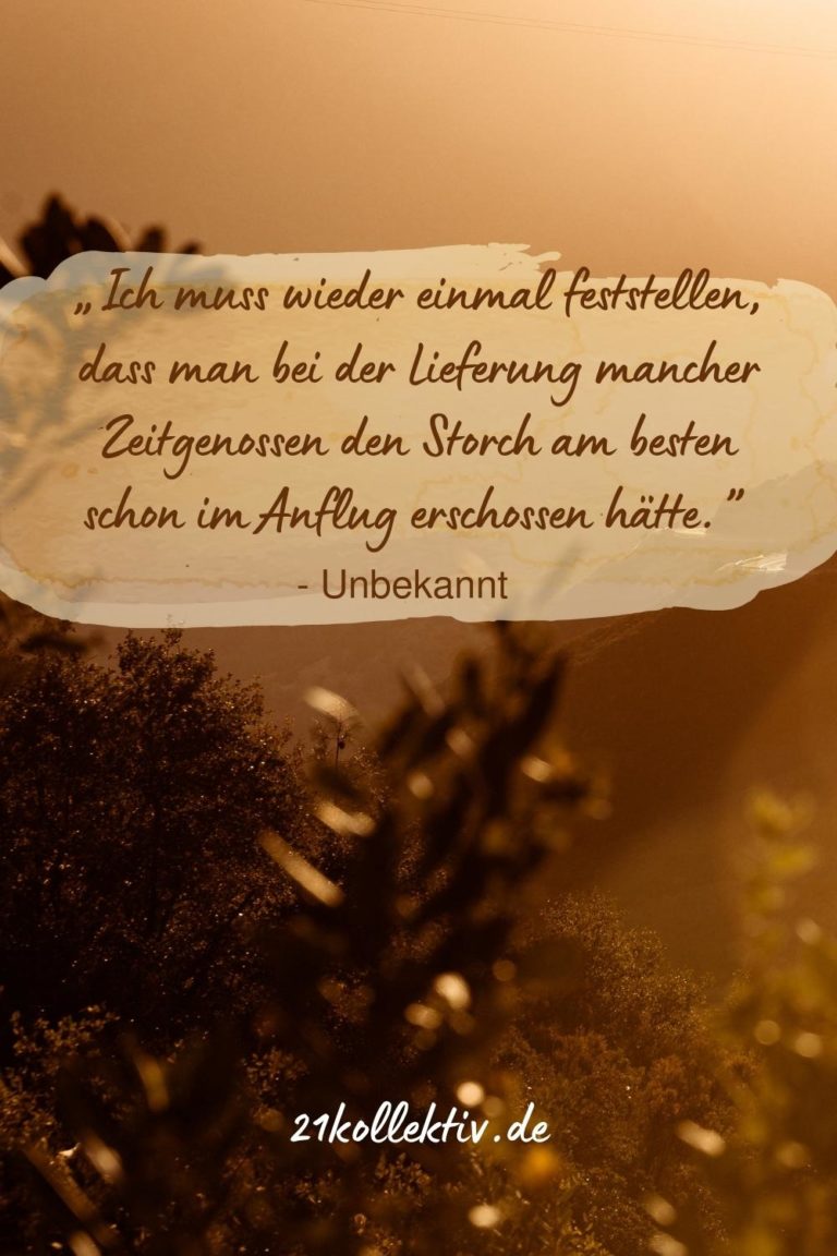 Ich bin enttäuscht Zweideutige Sprüche zum Nachdenken