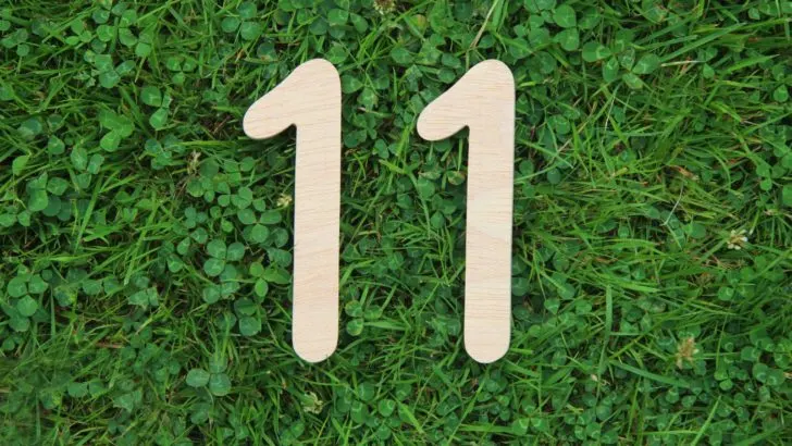 Bedeutung und Eigenschaften der Lebenszahl 11