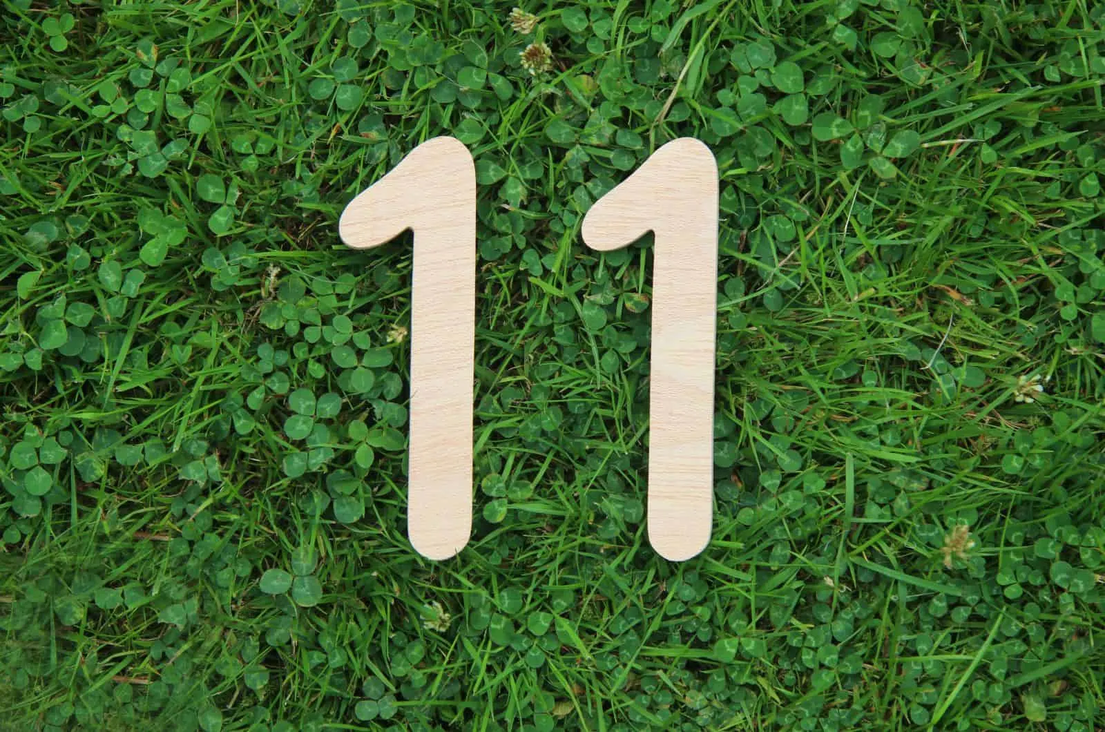 Nummer 11 auf Gras