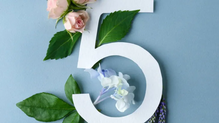 Die Bedeutung der Lebenszahl 5 und ihre Eigenschaften