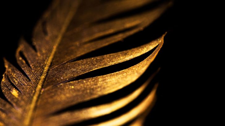 Die Feder Bedeutung — symbolische und spirituelle Eigenschaften