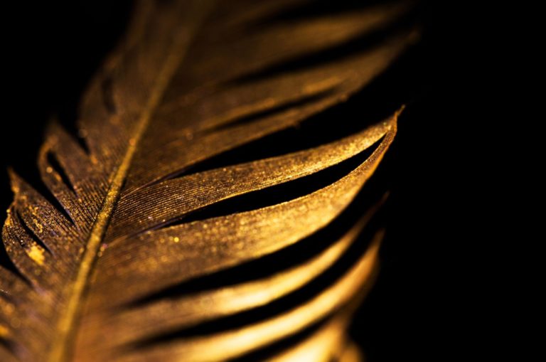 goldene Feder